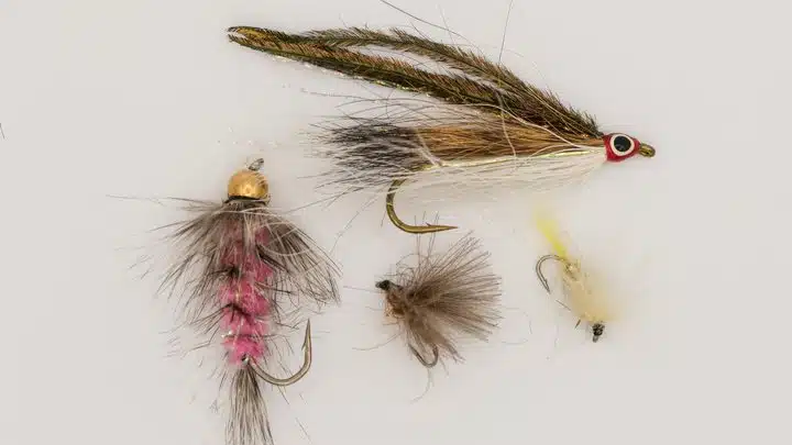 Assorted trout flies on a light background